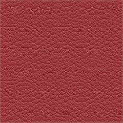 Persuasion China Red